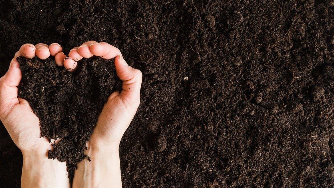 Organik Madde Nedir? Toprakta Neden Bu Kadar Önemlidir?