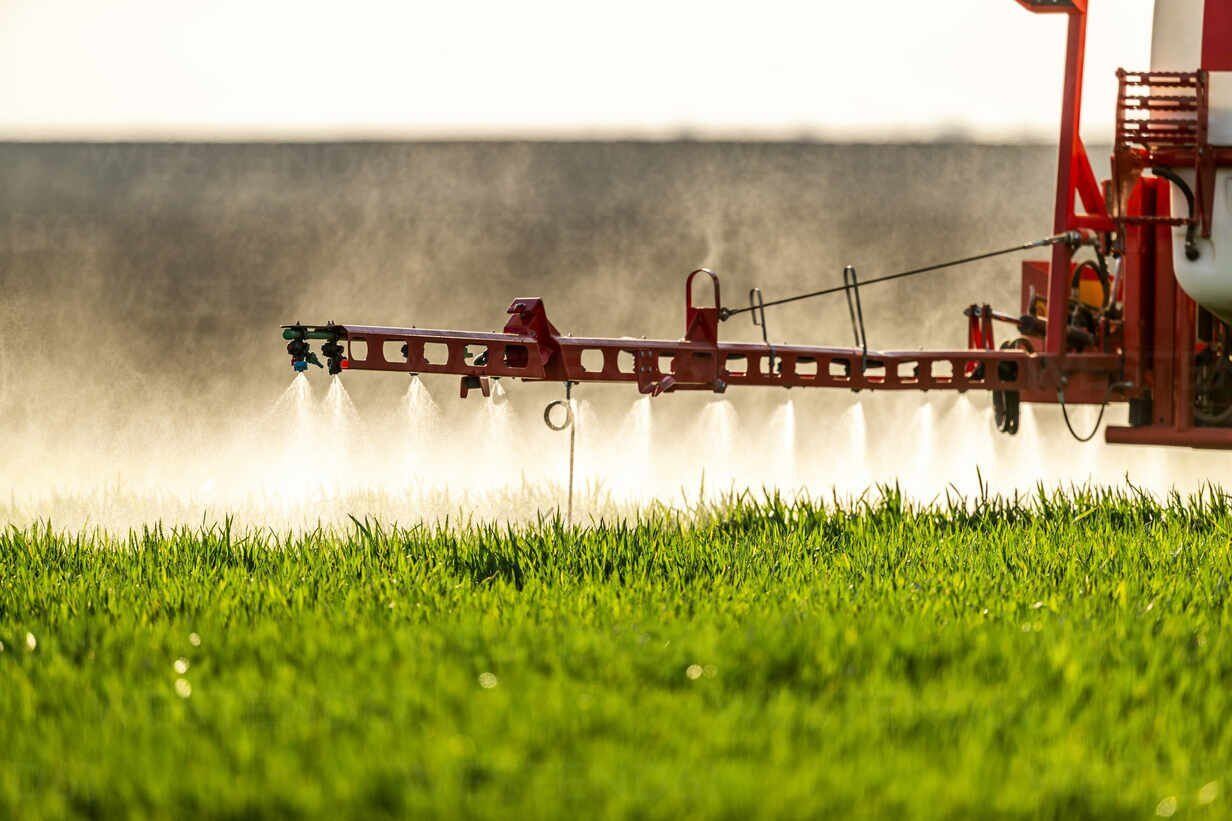 Aminoasitlerin Bitki Gelişimindeki Önemi | Stres Dayanımı ve Verim Artışı