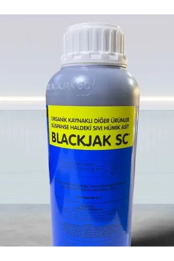 Köklendiriciler