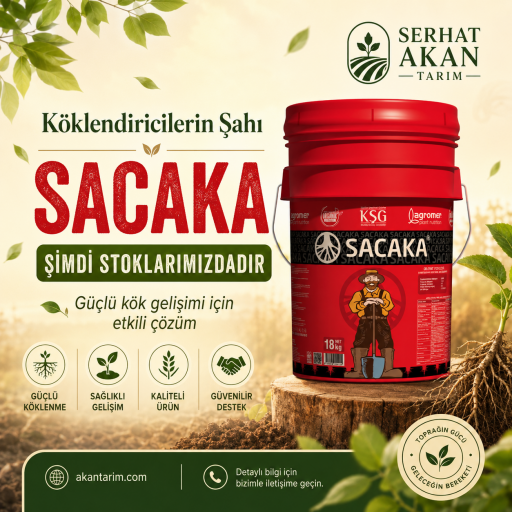 Köklendiriciler
