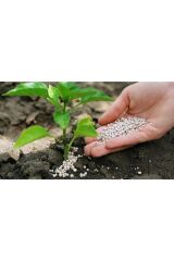 Bitki Coşturan Üre Mucize Gübre Bitki Canlandırır Kök Arttırır 5 Kg