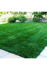 Çim Gübresi Çiçek Coşturan 5 Kg Çim Coşturan Bitki Geliştirici