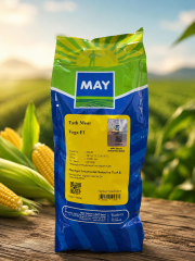 MAY Agro VEGA F1 Tatlı Mısır Tohumu | Tatlı ve Yüksek Verimli Hibrit 10000 Adet