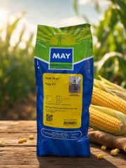 MAY Agro VEGA F1 Tatlı Mısır Tohumu | Tatlı ve Yüksek Verimli Hibrit 10000 Adet