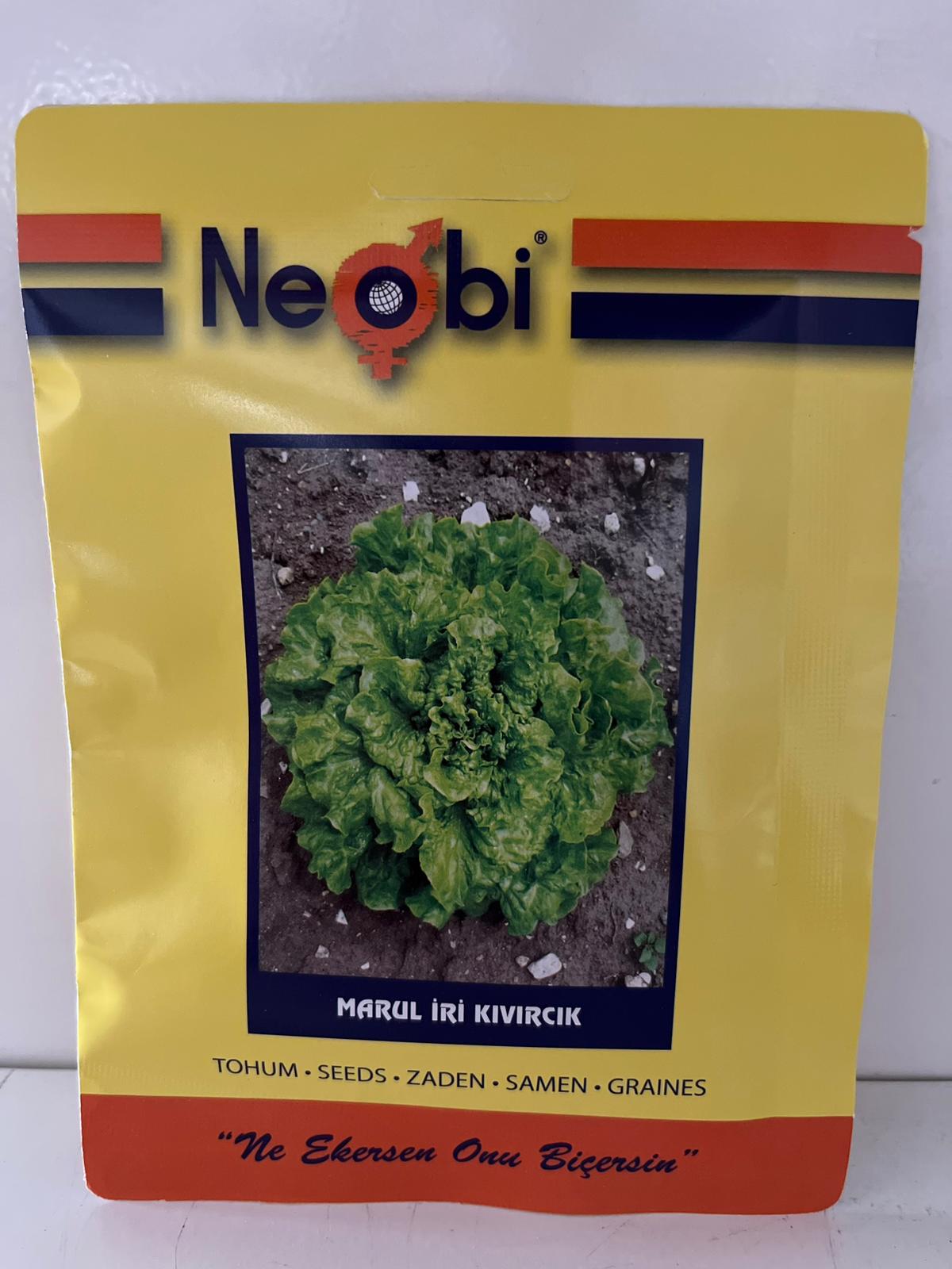 Marul İri Kıvırcık Tohumu 10 Gram