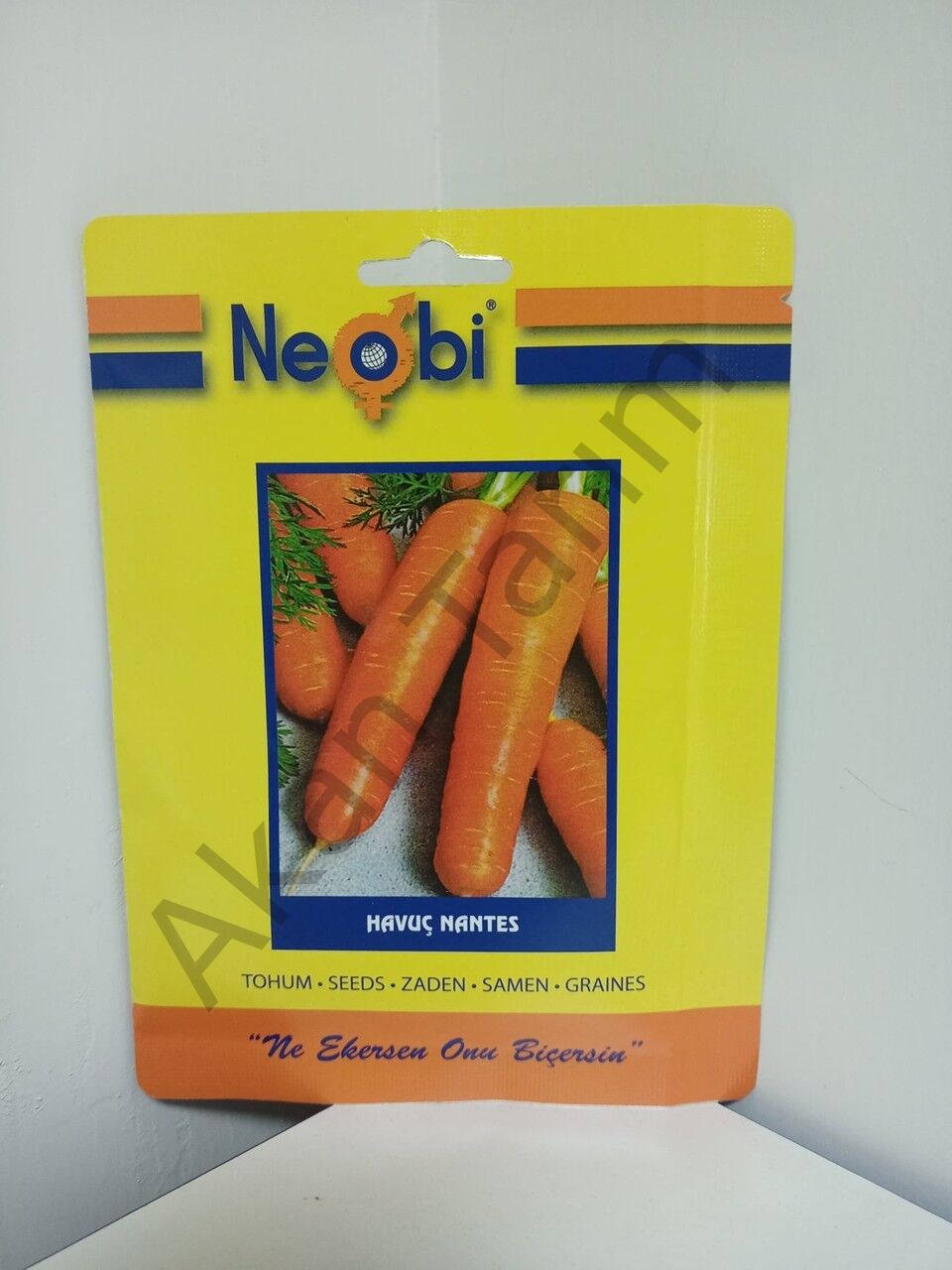 Havuç Nantes Tohumu
