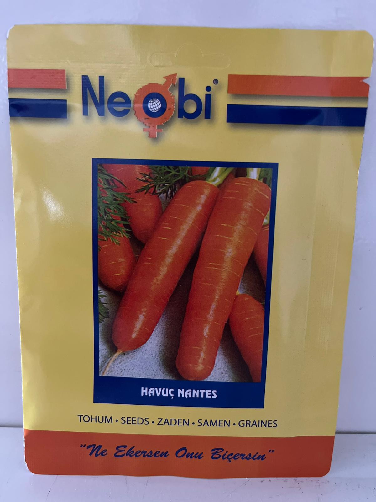 Havuç Nantes Tohumu 10 Gram