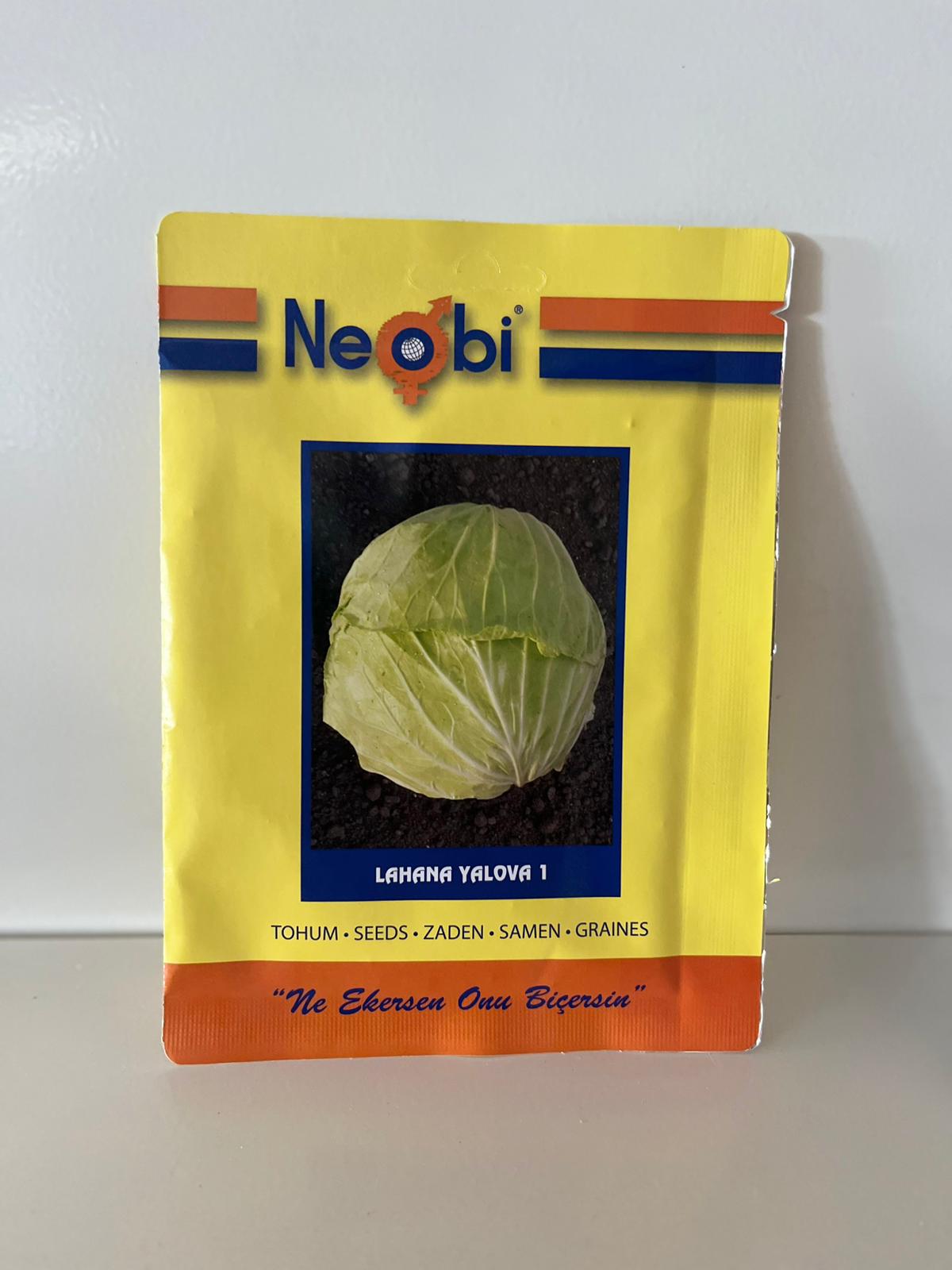 Lahana Yalova 1 Tohumu 10 Gram