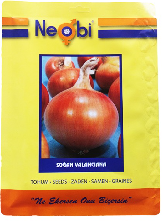 Soğan Valanciana Tohumu 10 gram
