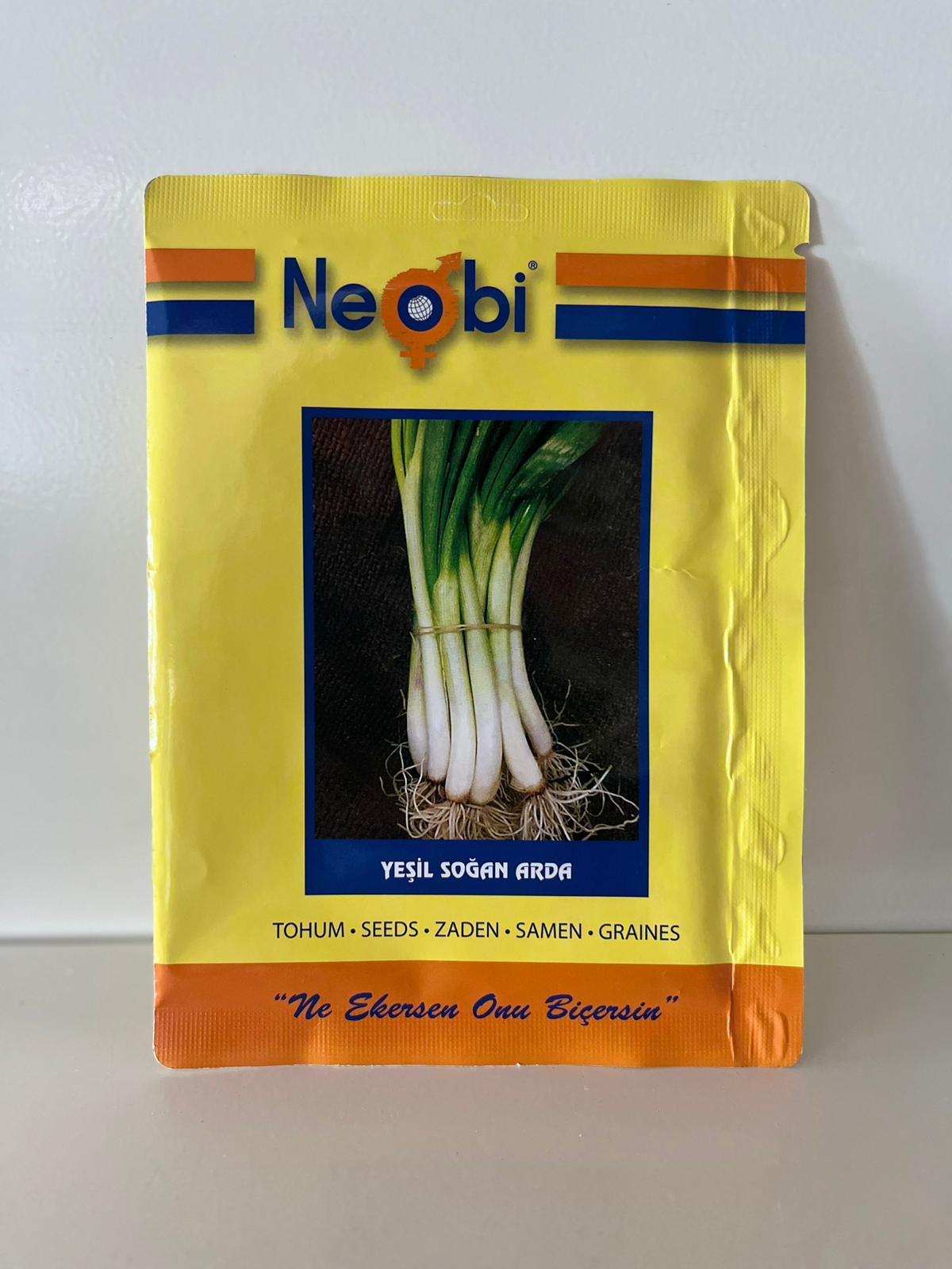 Yeşil Soğan Arda Tohumu 10 Gram