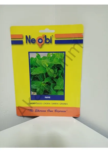 Neobi Nane Tohumu