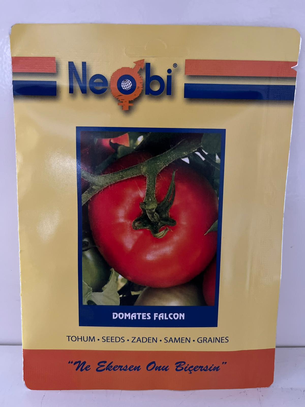 Domates Falcon Tohumu 10 gram