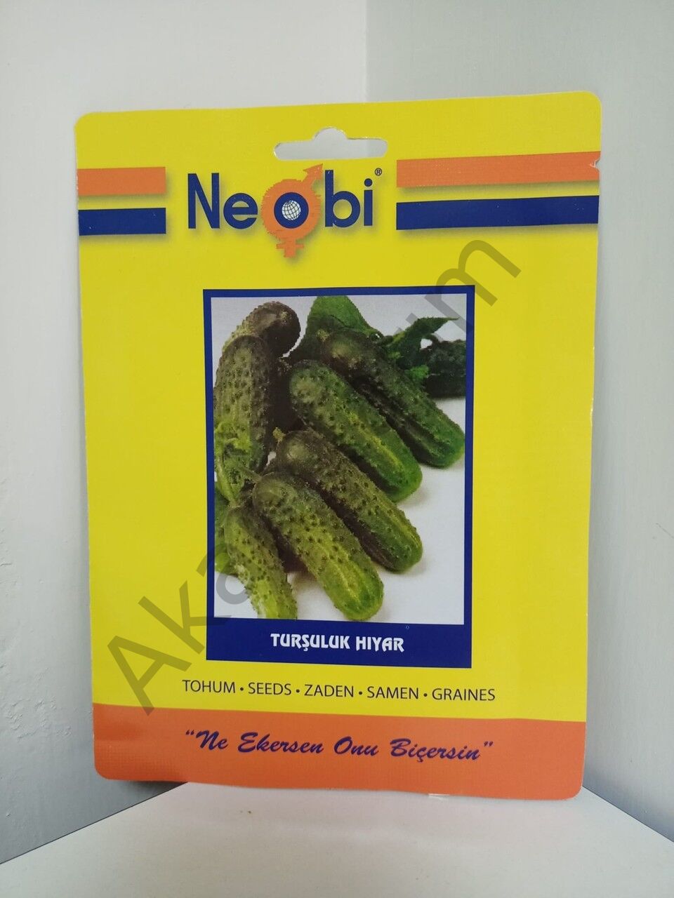 Turşuluk Hıyar Tohumu