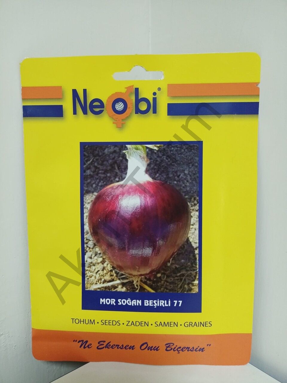 Mor Soğan Beşirli 77 Tohumu