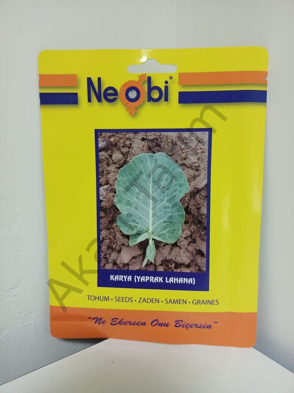 Karya Yaprak Lahana Tohumu