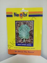 Karya Yaprak Lahana Tohumu