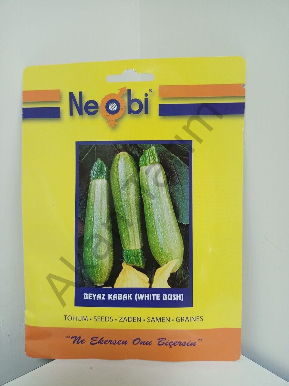 Beyaz Kabak White Bush Tohumu