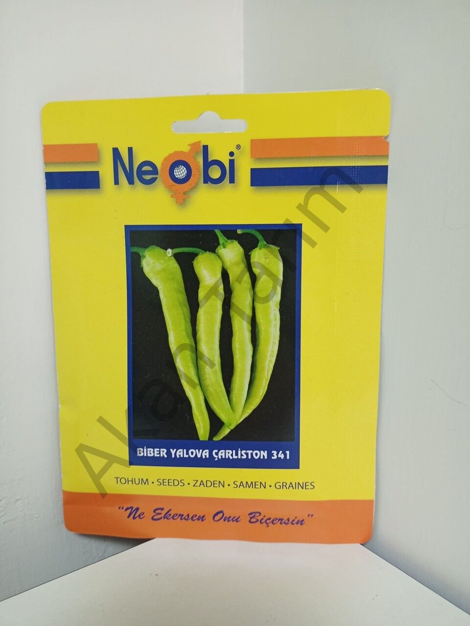Biber Yalova Çarliston 341 Tohumu