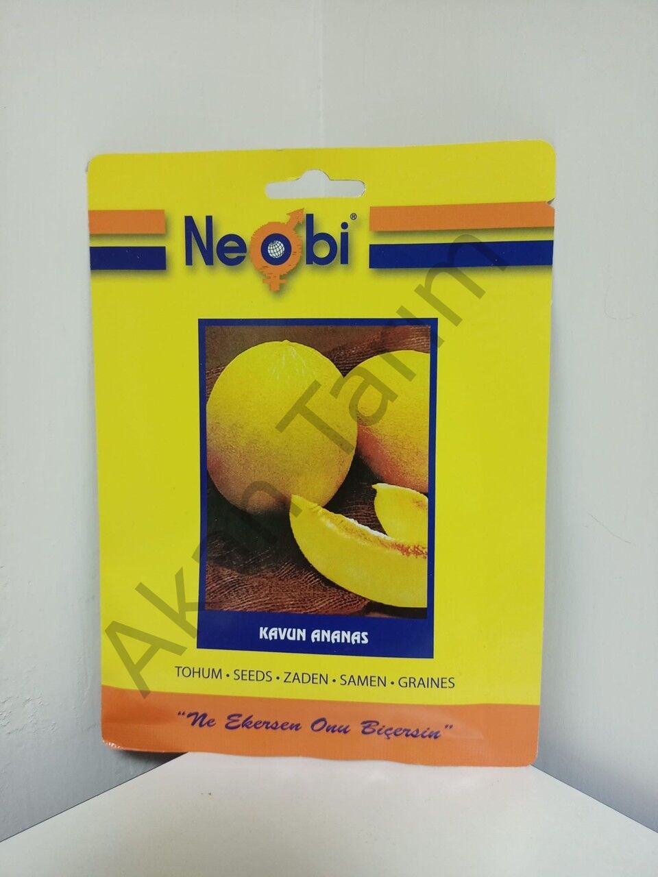 Kavun Ananas Tohum
