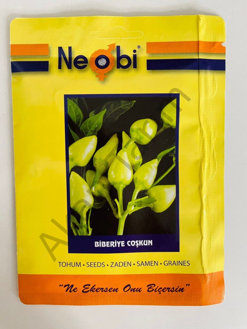 Biberiye Coşkun Tohumu