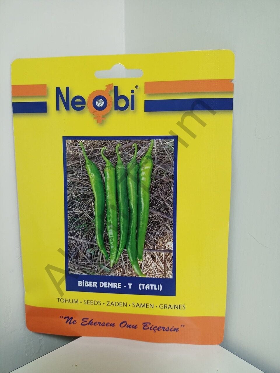 Biber Demre Tatlı Tohumu