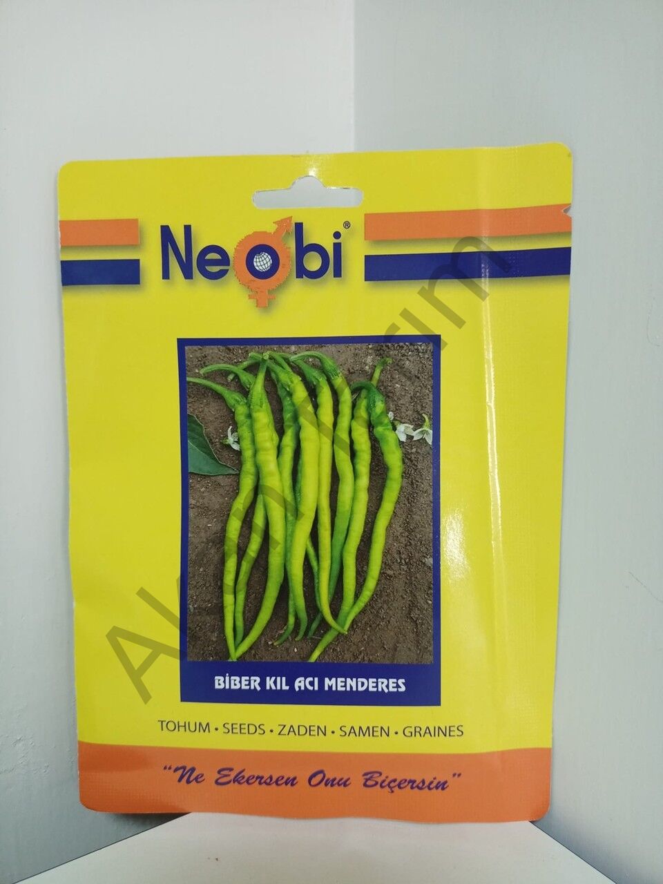 Biber Kıl Acı Menderes Tohumu