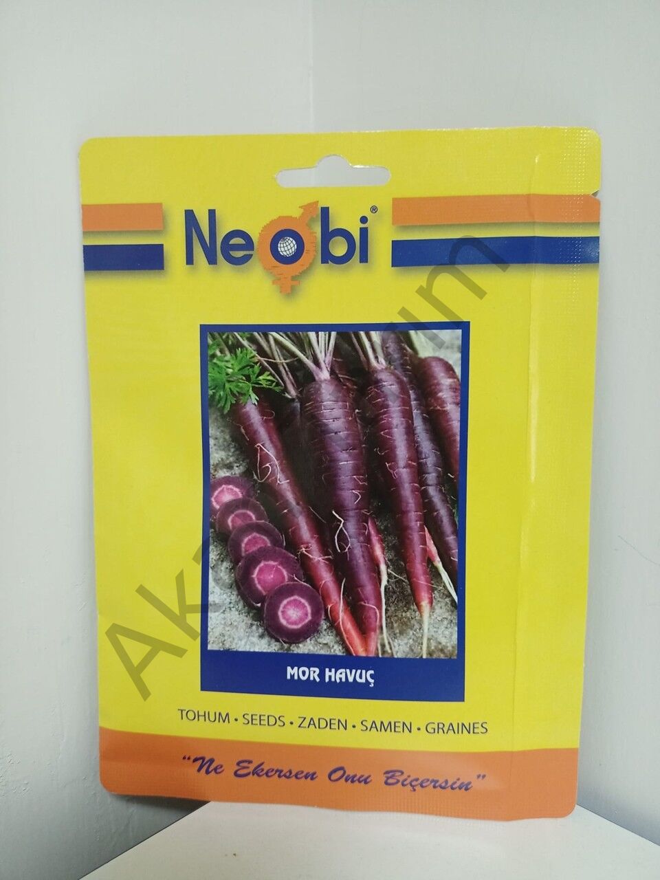 Mor Havuç Tohumu