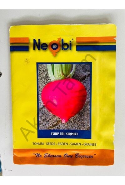 Turp İri Kırmızı Tohumu