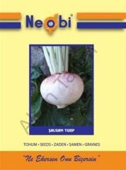 Şalgam Turp Tohumu 10 Gram