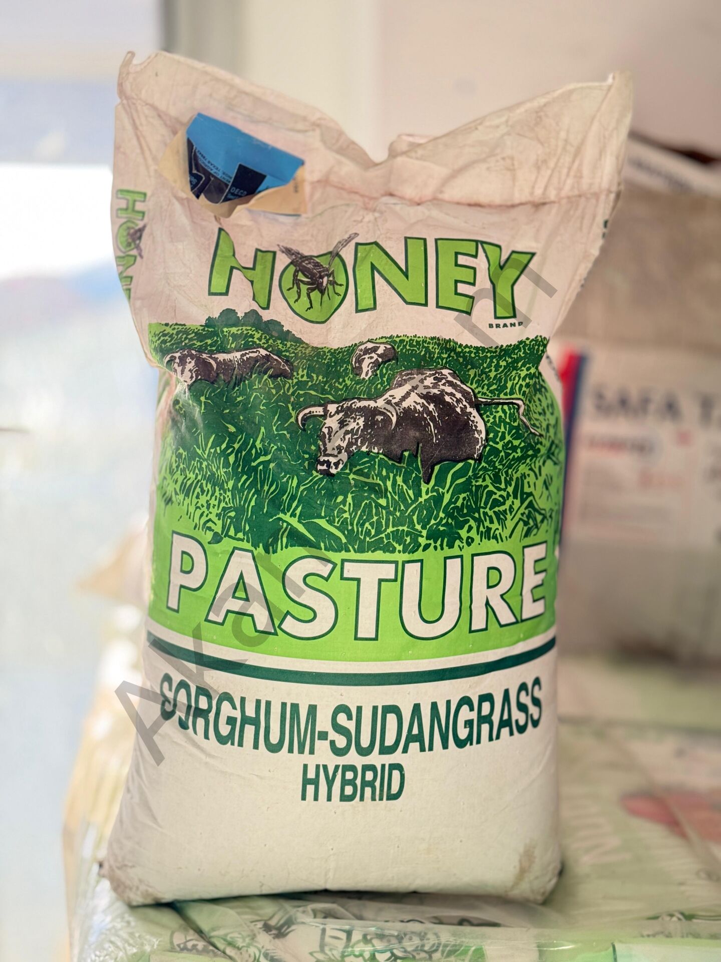 Pasture Hibrit İthal Sorghum Sudan Tohumu 25 Kg