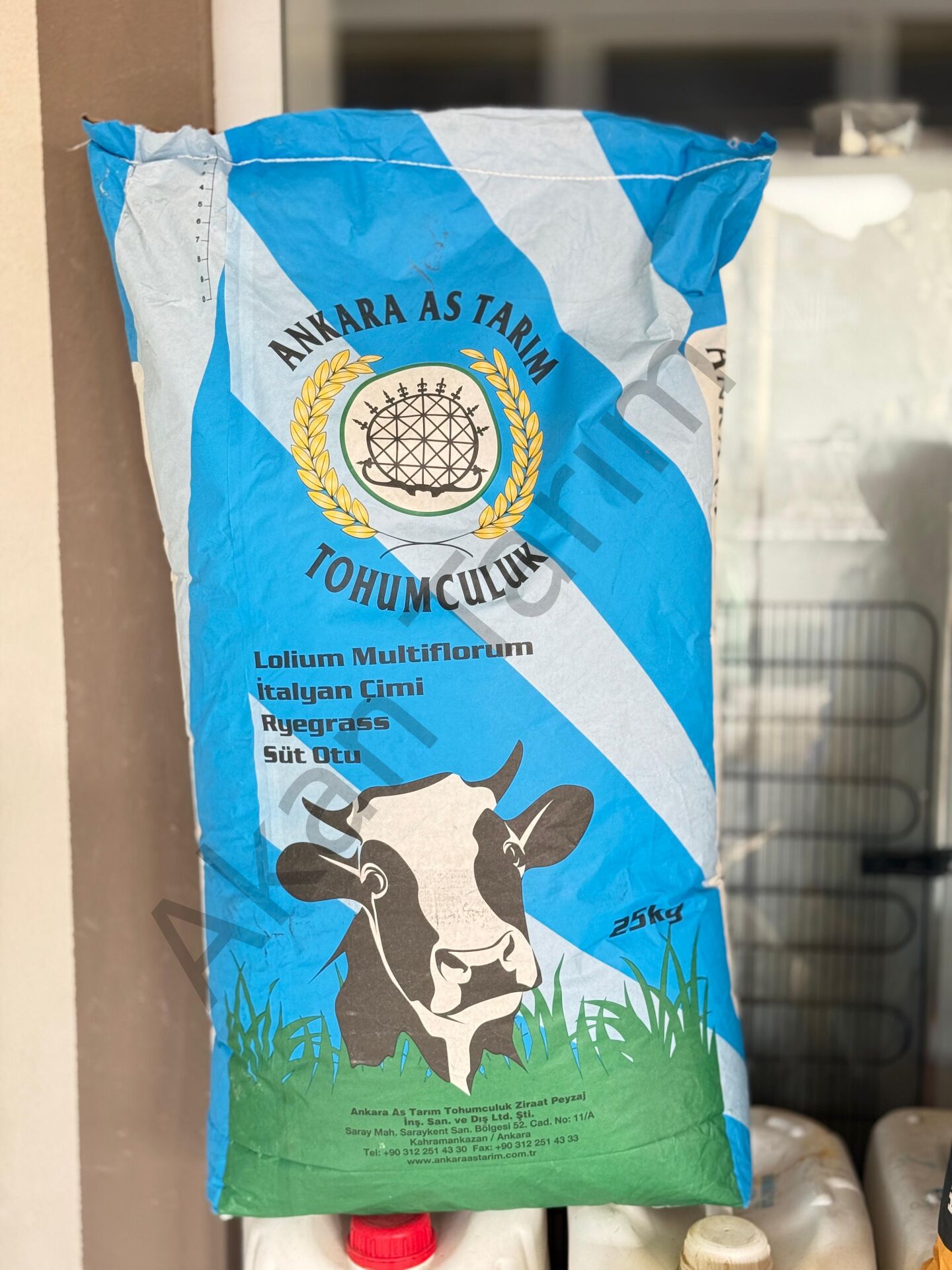 Ankara As Tohumculuk İtalyan Çimi | Ryegrass | Süt Otu Tohumu 25 Kg