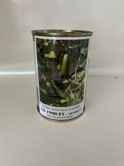 Altın Tohum GS 1900 F1 - Seyhan F1  Hibrit Salatalık - Hıyar Tohumu 100 gram