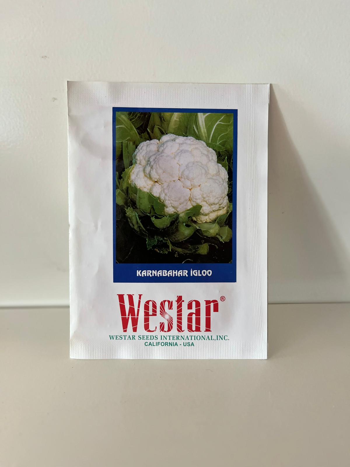 Westar Karnabahar İgloo Tohumu 5 Gram