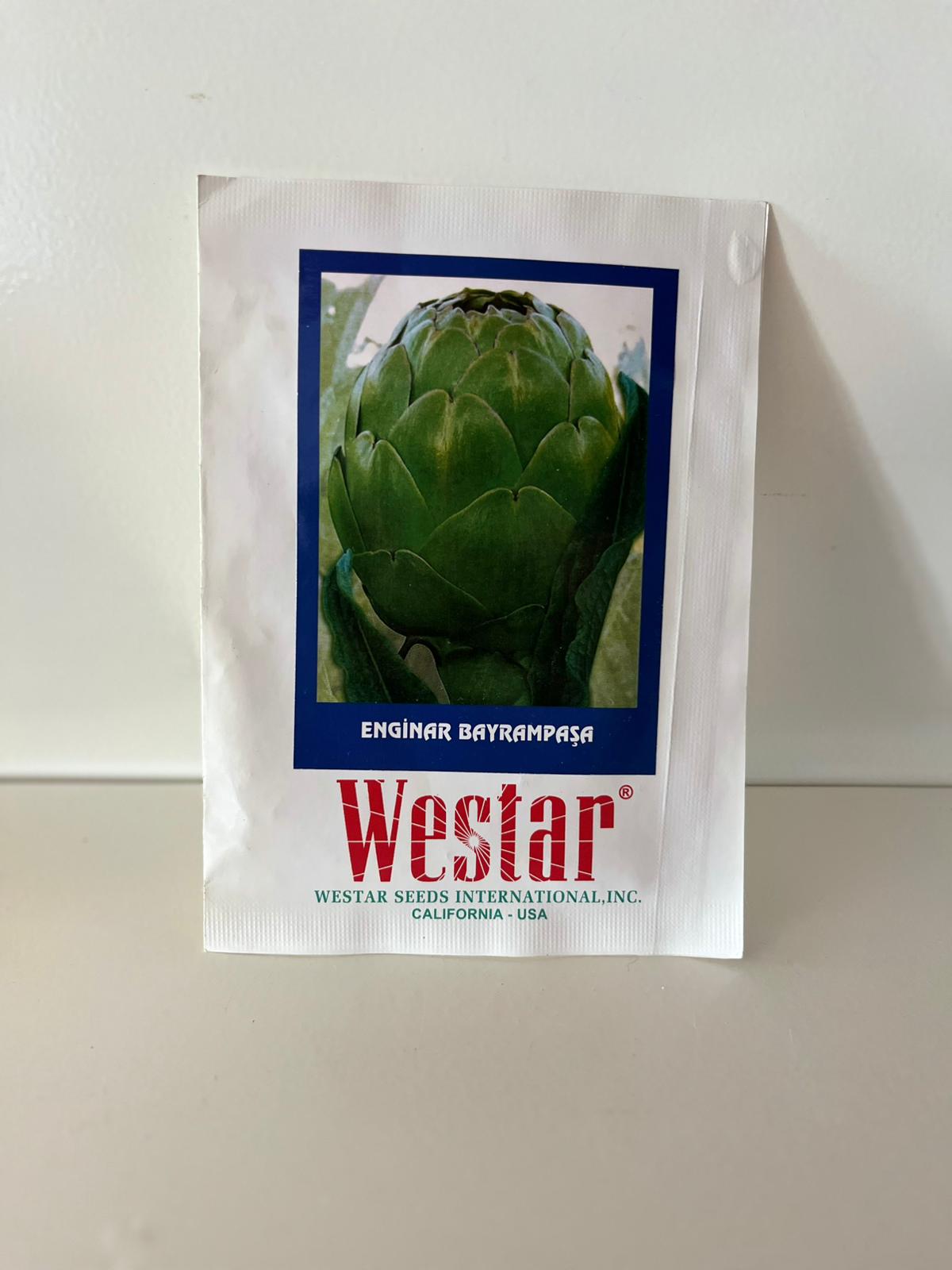 Westar Enginar Bayrampaşa Tohumu 10 Adet