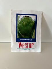 Westar Enginar Bayrampaşa Tohumu 10 Adet