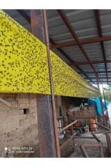 Çift Taraflı Ahırlar Ve Çiftlikler İçin Sarı Yapışkan Rulo Sinek Tuzağı 15 Cm X 100 Metre