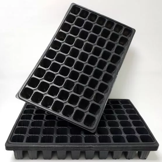 70 Gözlü Fide - Fidan Çimlendirme Viyolü 10 Adet