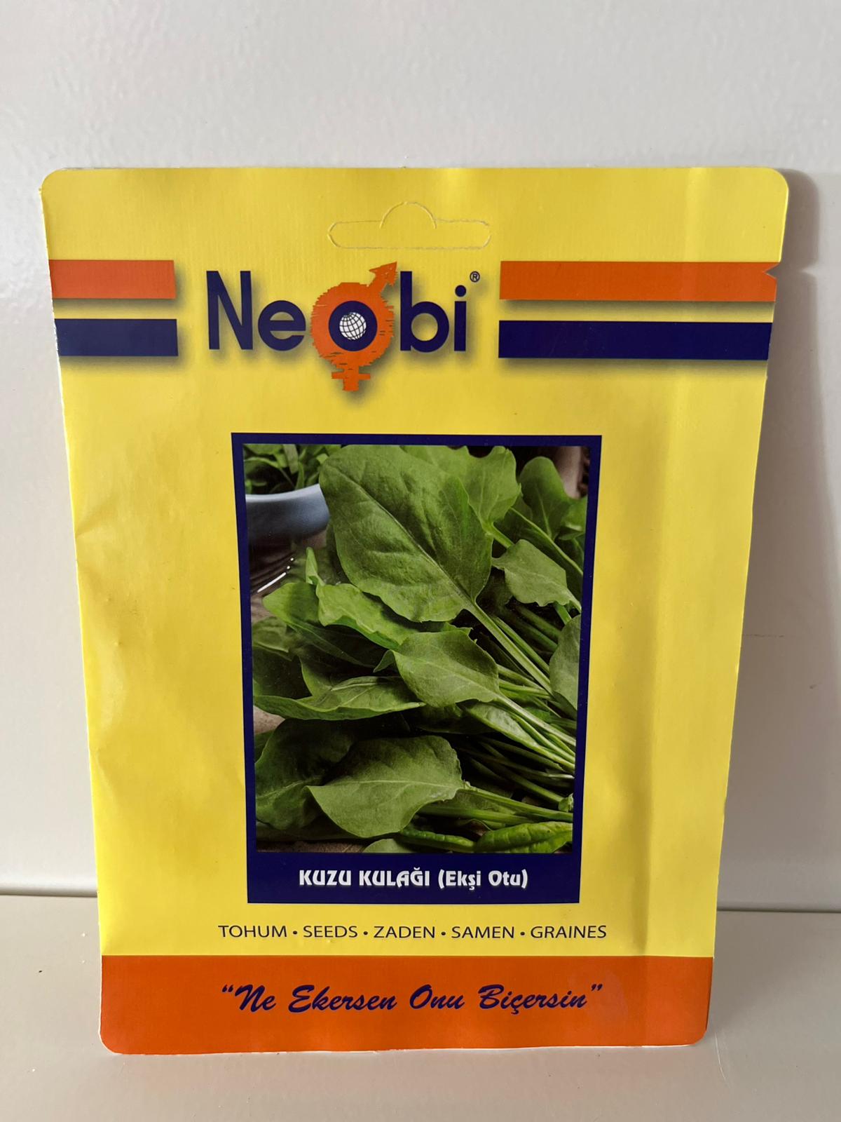 Kuzu Kulağı | Ekşi Otu | Tohumu 5 Gram