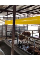 Çift Taraflı Ahırlar Ve Çiftlikler İçin Sarı Yapışkan Rulo Sinek Tuzağı 30 Cm X 100 Metre