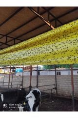 Çift Taraflı Ahırlar Ve Çiftlikler İçin Sarı Yapışkan Rulo Sinek Tuzağı 30 Cm X 100 Metre