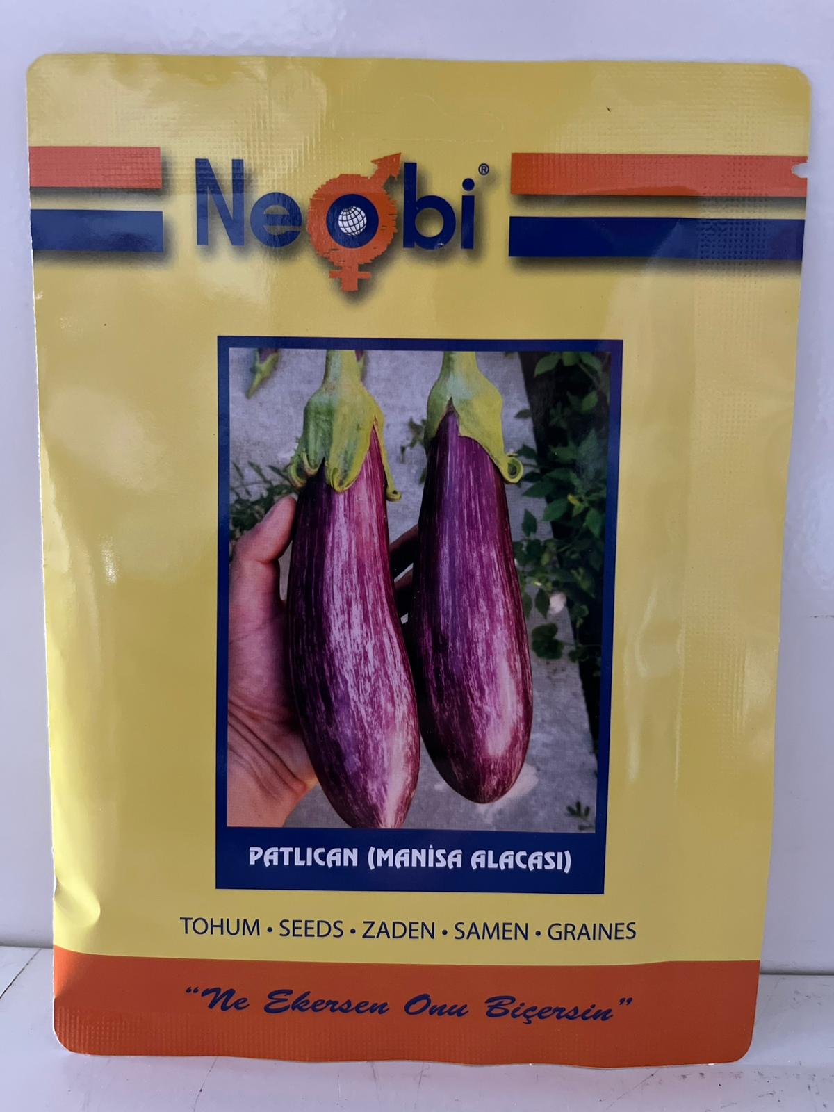 Patlıcan Manisa Alacası Tohumu 10 gram