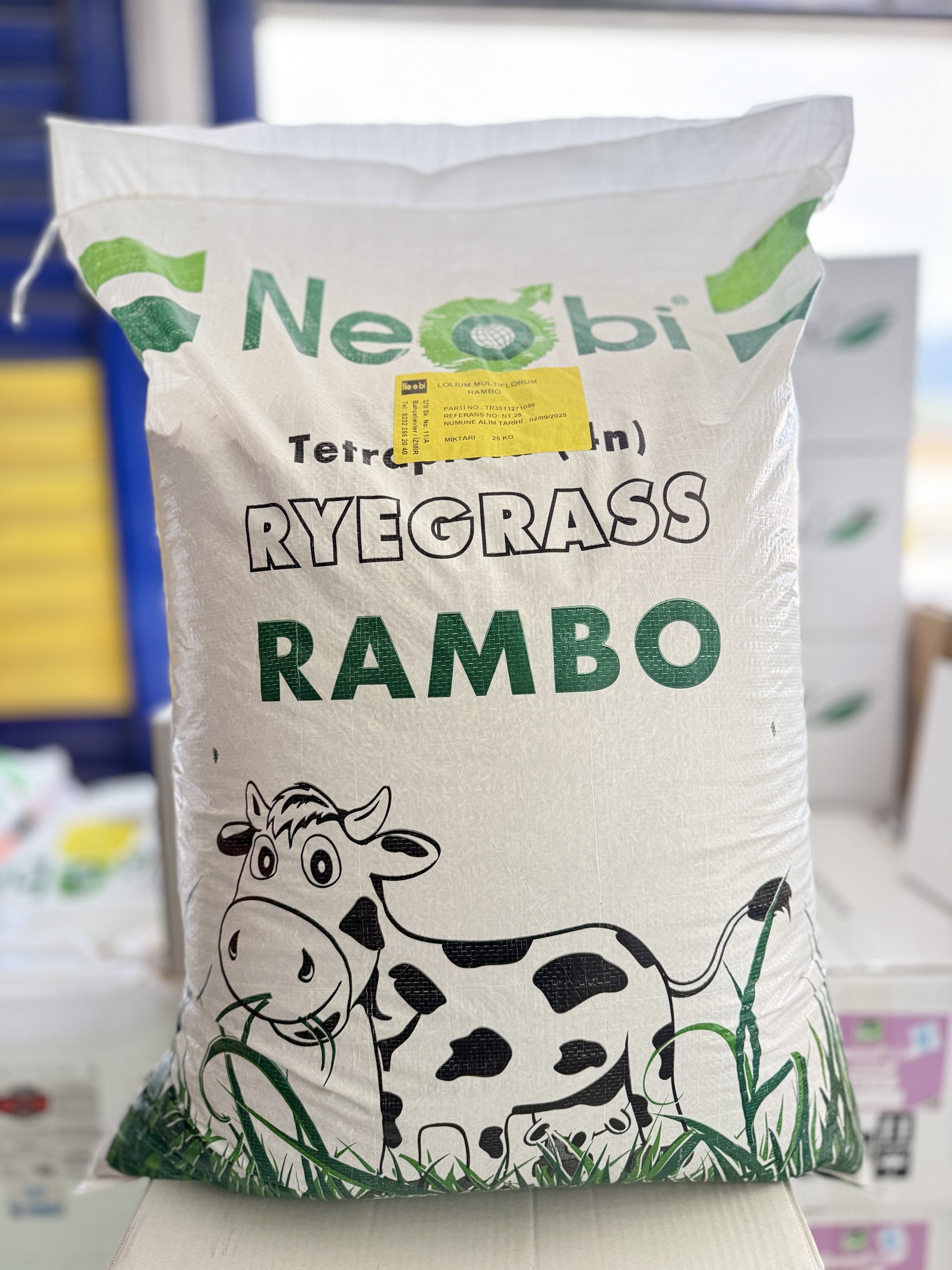 Neobi Rambo Ryegrass İtalyan Çimi Süt Otu Tohumu – 25 KG