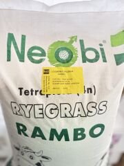 Neobi Rambo Ryegrass İtalyan Çimi Süt Otu Tohumu – 25 KG