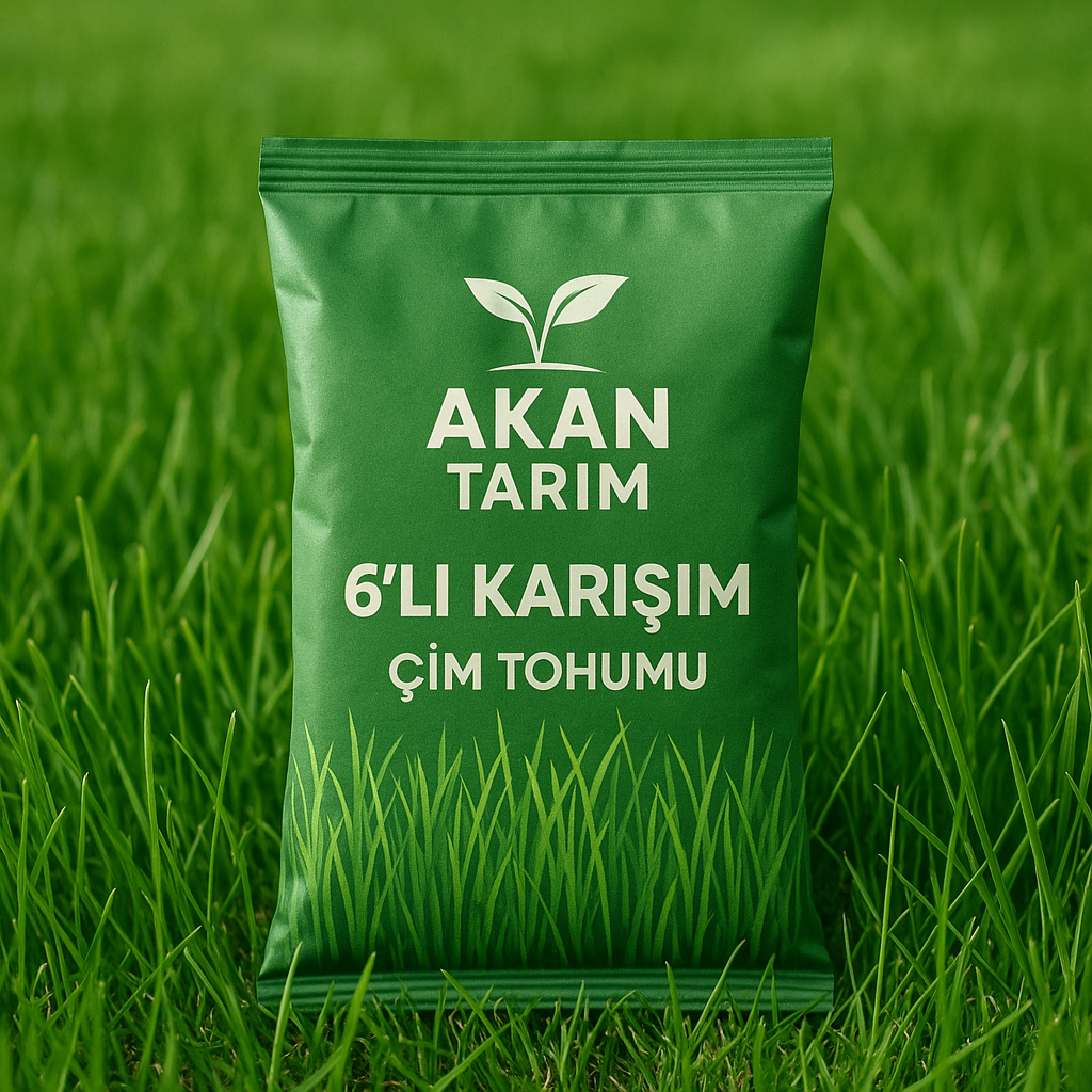 Akan Tarım Gerçek 6'lı Karışım Çok Yıllık Çim Tohumu 5 KG
