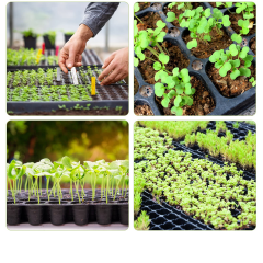 32 Gözlü Fide - Fidan Çimlendirme Viyolü 100 Adet