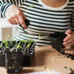 45 Gözlü Fide - Fidan Çimlendirme Viyolü 5 Adet