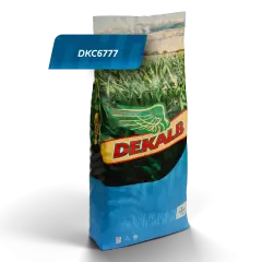 Dekalb DKC 6777 Hibrit Mısır Tohumu – Yüksek Verimli Danelik ve Silajlık | 50000 Adet