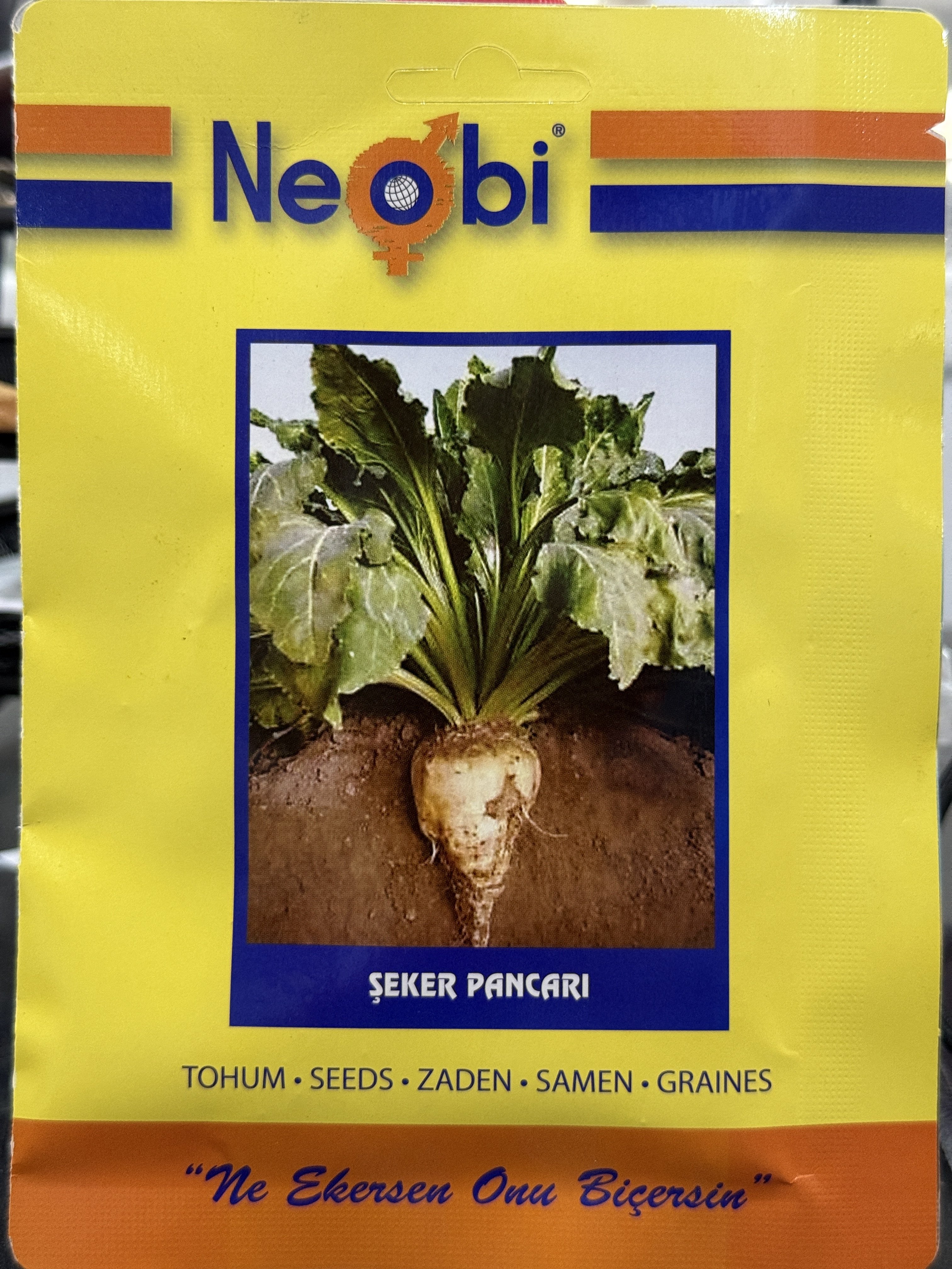 Neobi Şeker Pancarı Tohumu – 10 GR | Yüksek Verimli ve Güçlü Gelişim Gösteren Pancar Tohumu