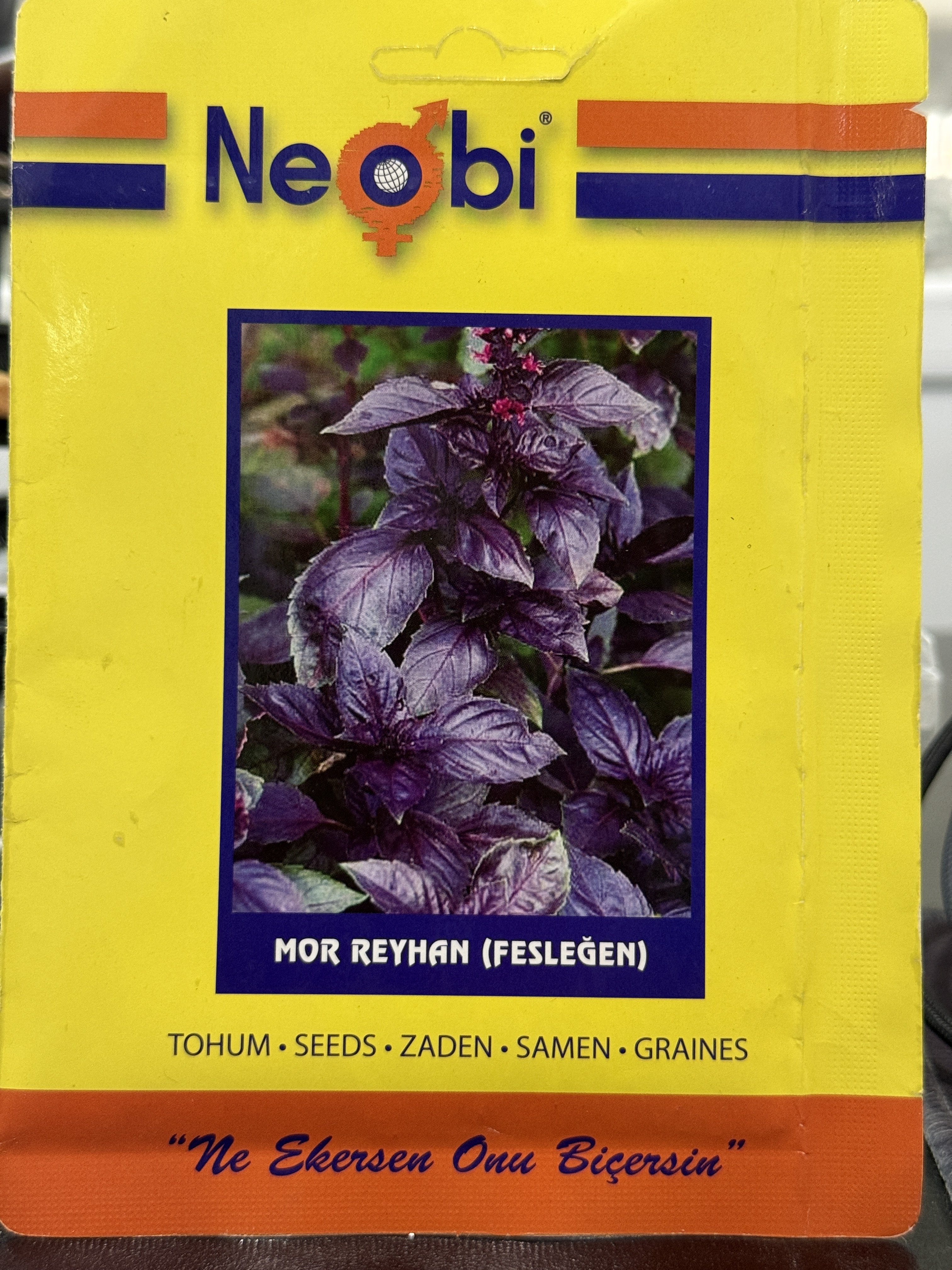 Neobi Reyhan Mor Tohumu (Fesleğen) – 3 GR | Yoğun Aromalı Mor Reyhan Tohumu