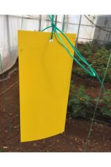 Flora Sarı Yapışkan Tuzak Çift Taraflı Sinek-Kelebek ve Tuta Tuzağı 10 Cm X 25 Cm 100 Adet
